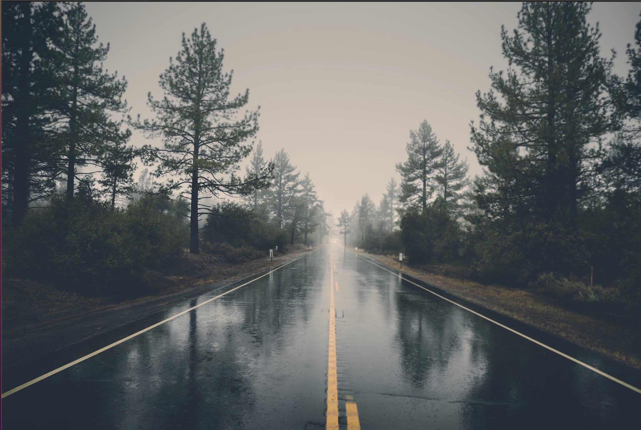 yol hali