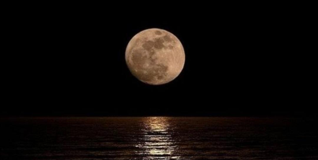 Bir Gece Vakti