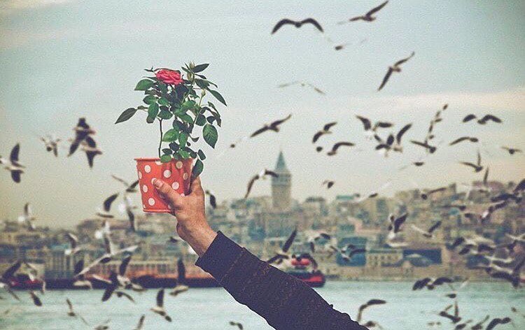 Eylüle Dair