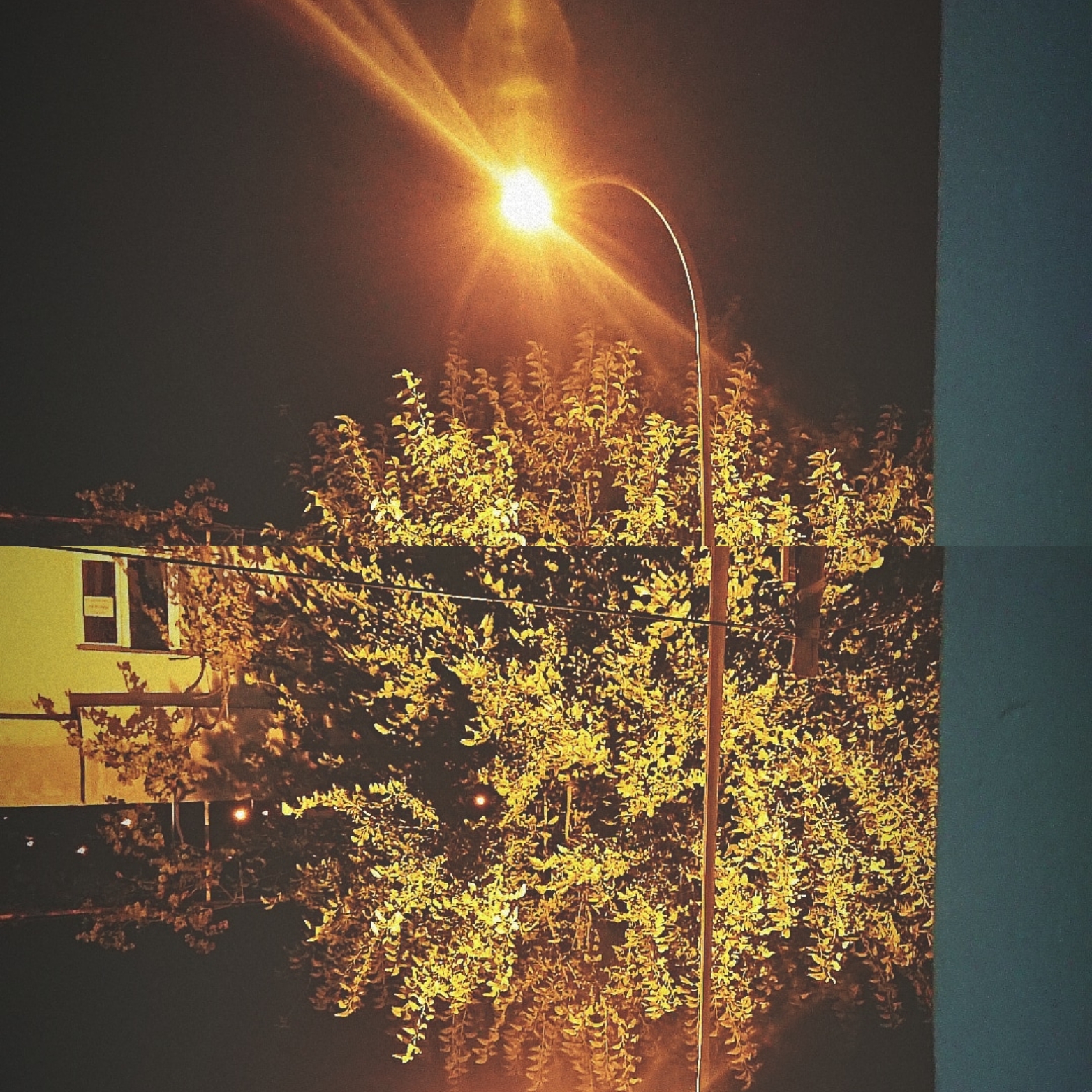 İsterdim