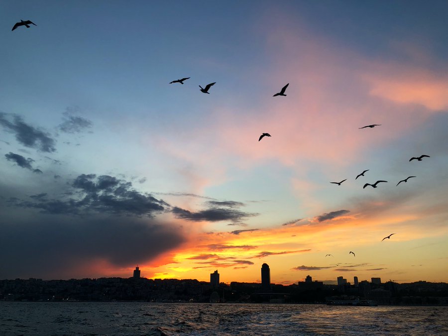 Düşünceler Zindanı